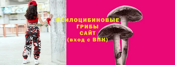 амф Арсеньев