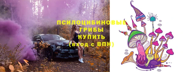 амф Арсеньев
