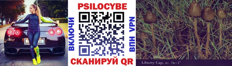 мега ссылки  Заполярный  Галлюциногенные грибы мухоморы 